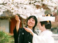 ���s�̍��Ɖԉ�